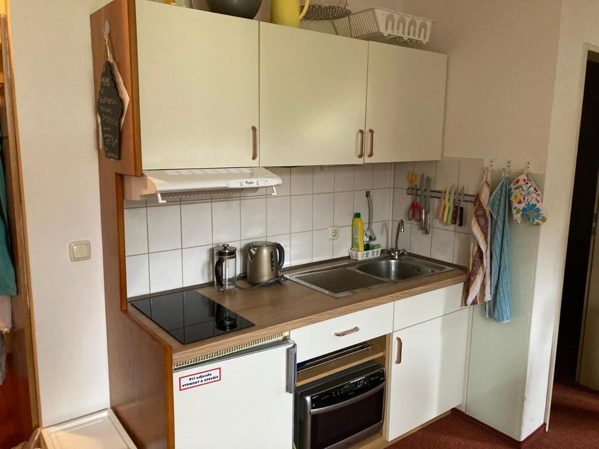 Apartman Viki Leilighet Philippsreut Eksteriør bilde