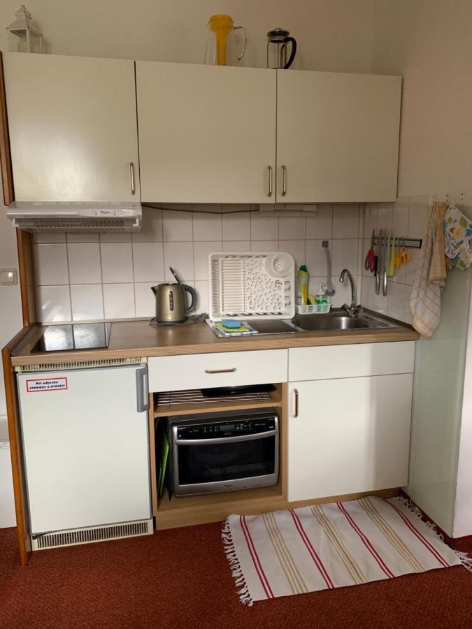 Apartman Viki Leilighet Philippsreut Eksteriør bilde